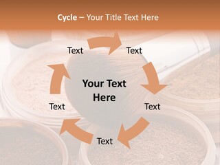 Gloss Drugstore Color PowerPoint Template