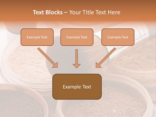 Gloss Drugstore Color PowerPoint Template