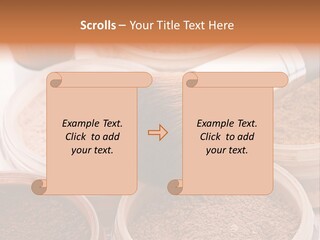 Gloss Drugstore Color PowerPoint Template