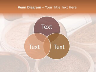 Gloss Drugstore Color PowerPoint Template