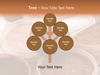 Gloss Drugstore Color PowerPoint Template