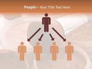 Gloss Drugstore Color PowerPoint Template