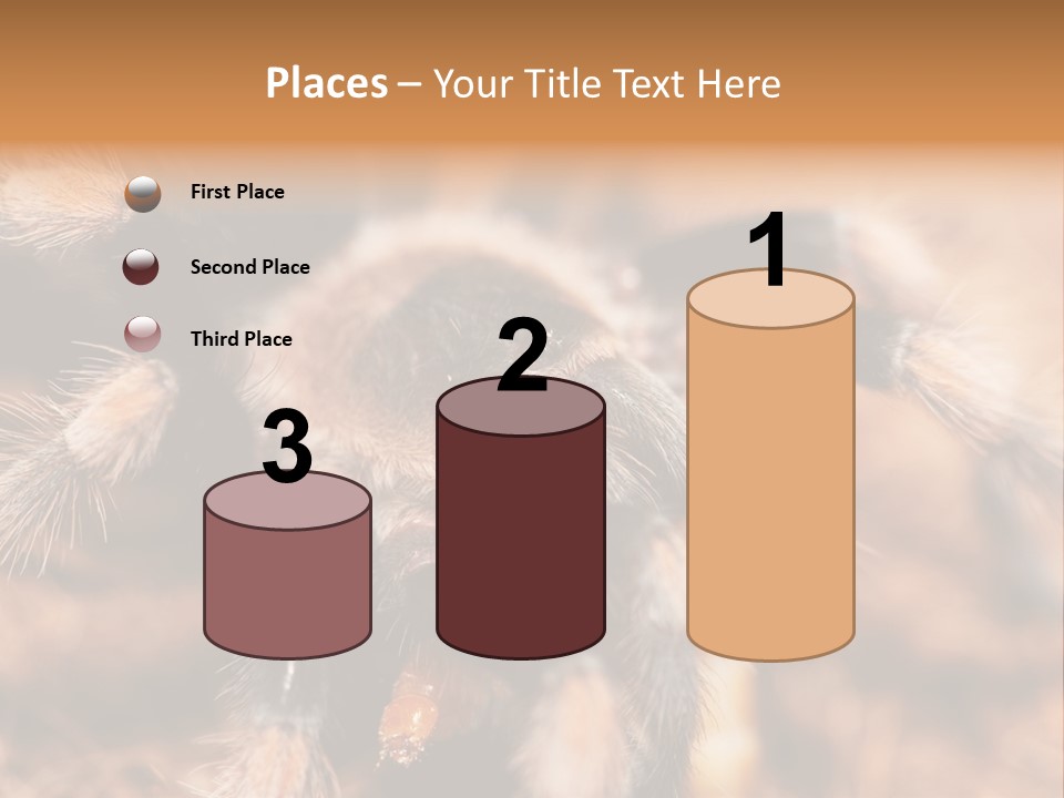 Hairy Predator Arachnida PowerPoint Template