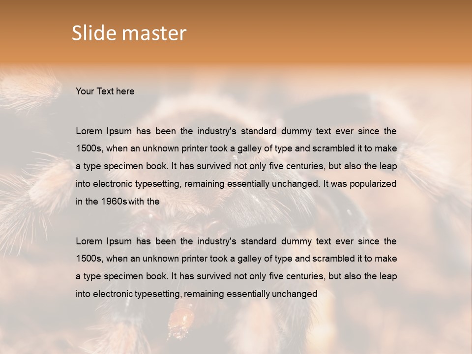 Hairy Predator Arachnida PowerPoint Template