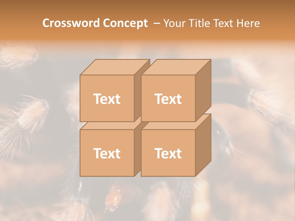 Hairy Predator Arachnida PowerPoint Template