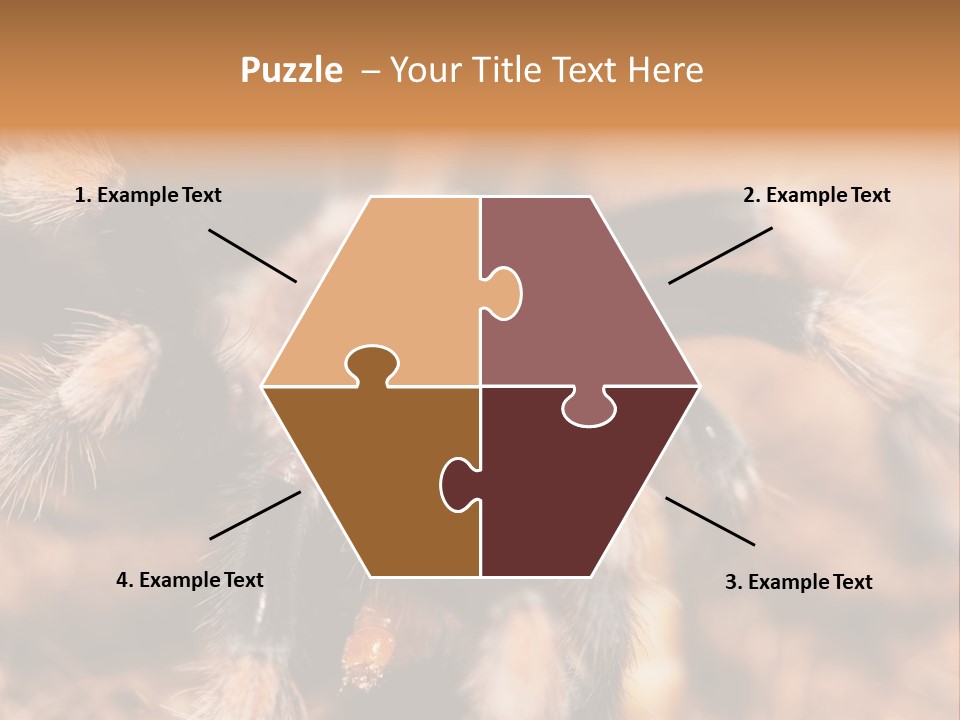 Hairy Predator Arachnida PowerPoint Template