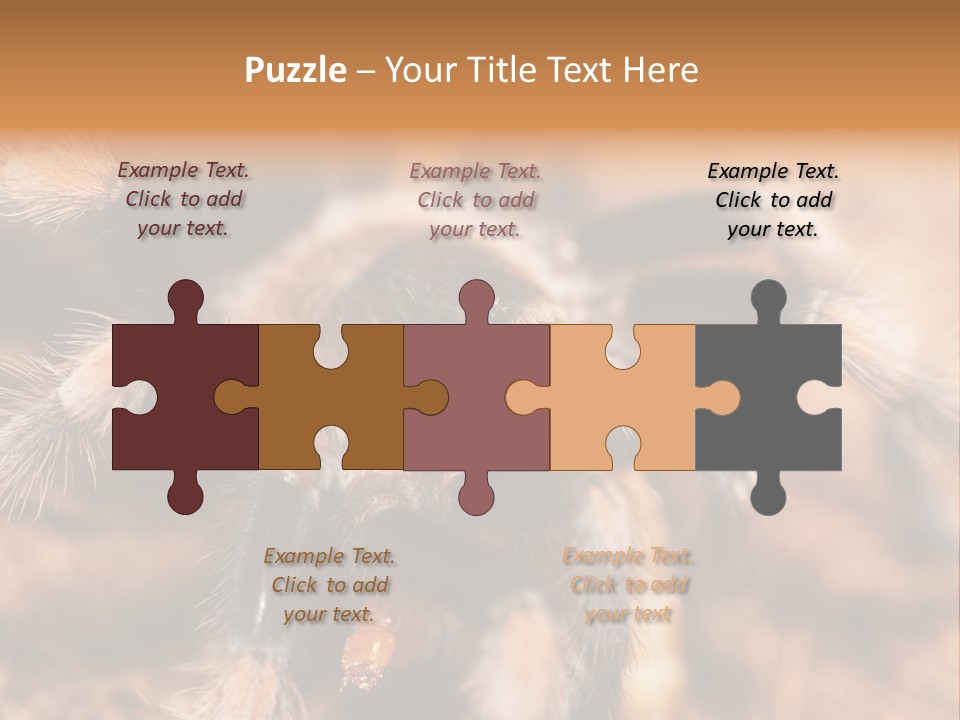 Hairy Predator Arachnida PowerPoint Template