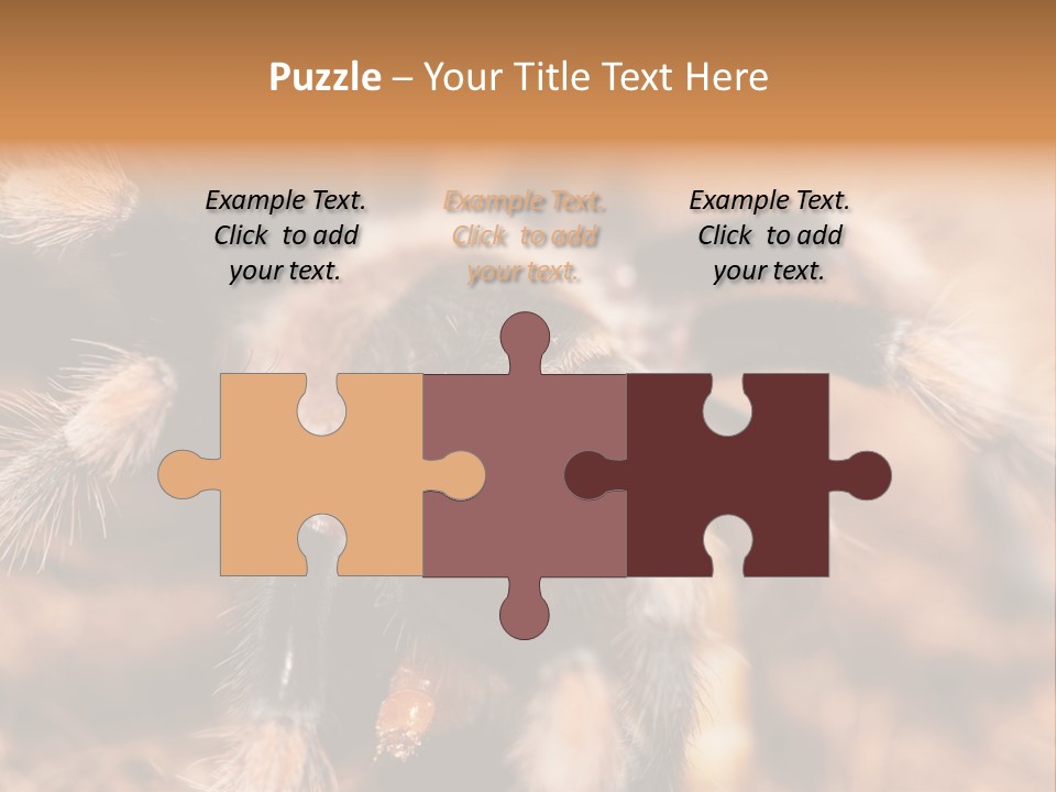 Hairy Predator Arachnida PowerPoint Template