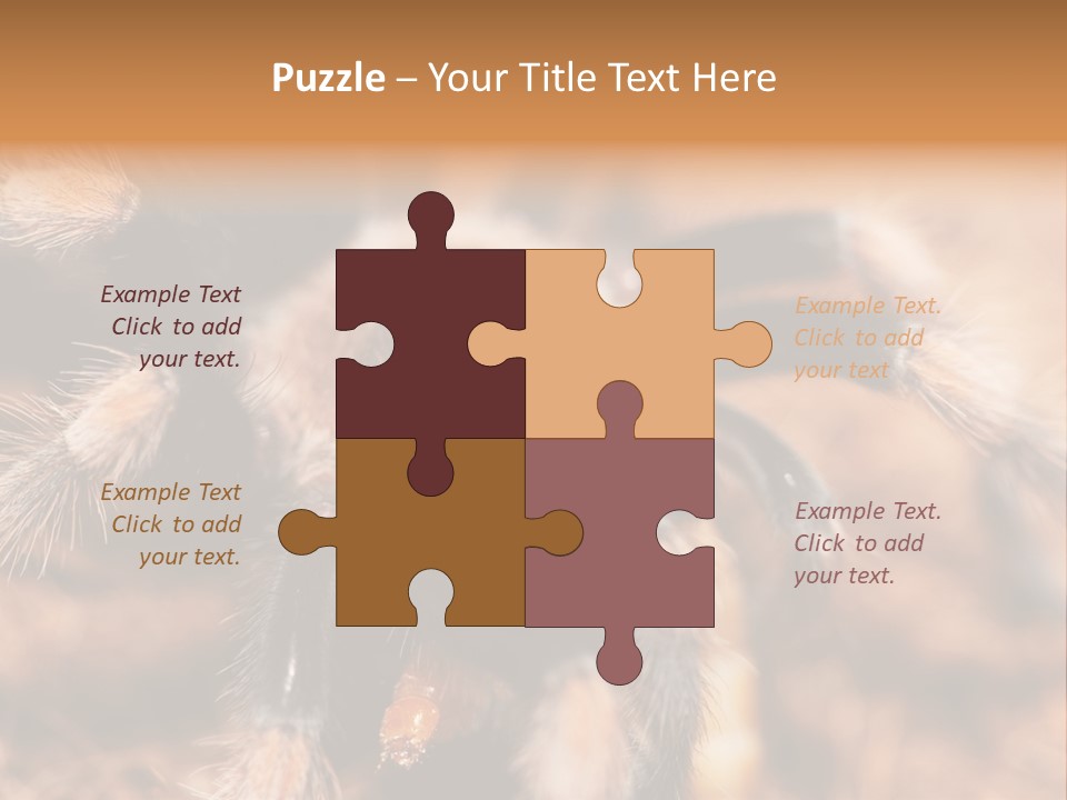 Hairy Predator Arachnida PowerPoint Template