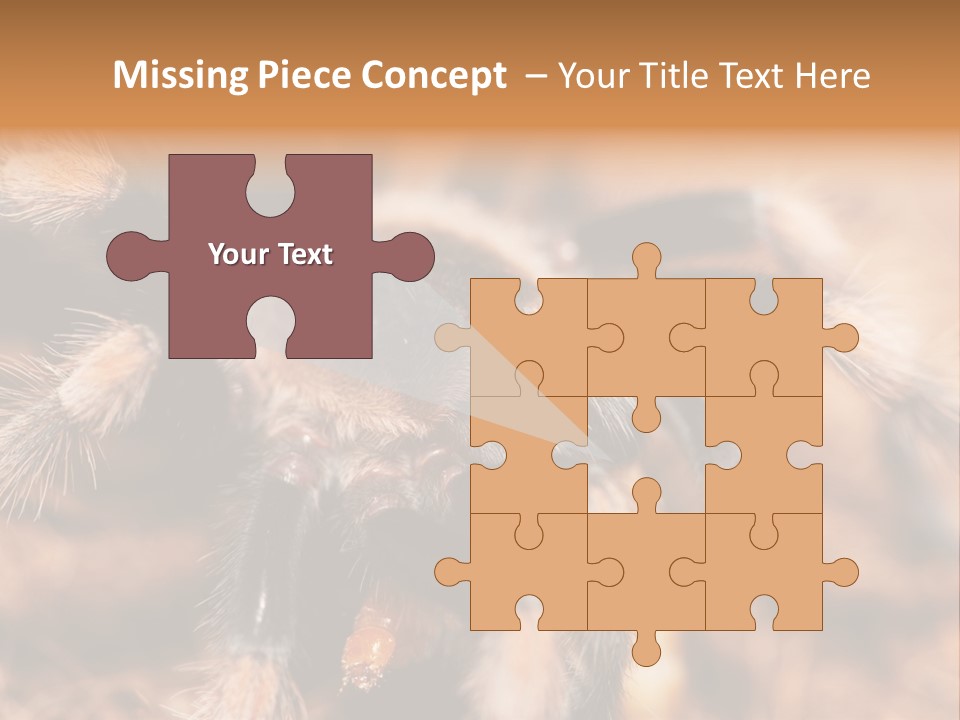 Hairy Predator Arachnida PowerPoint Template