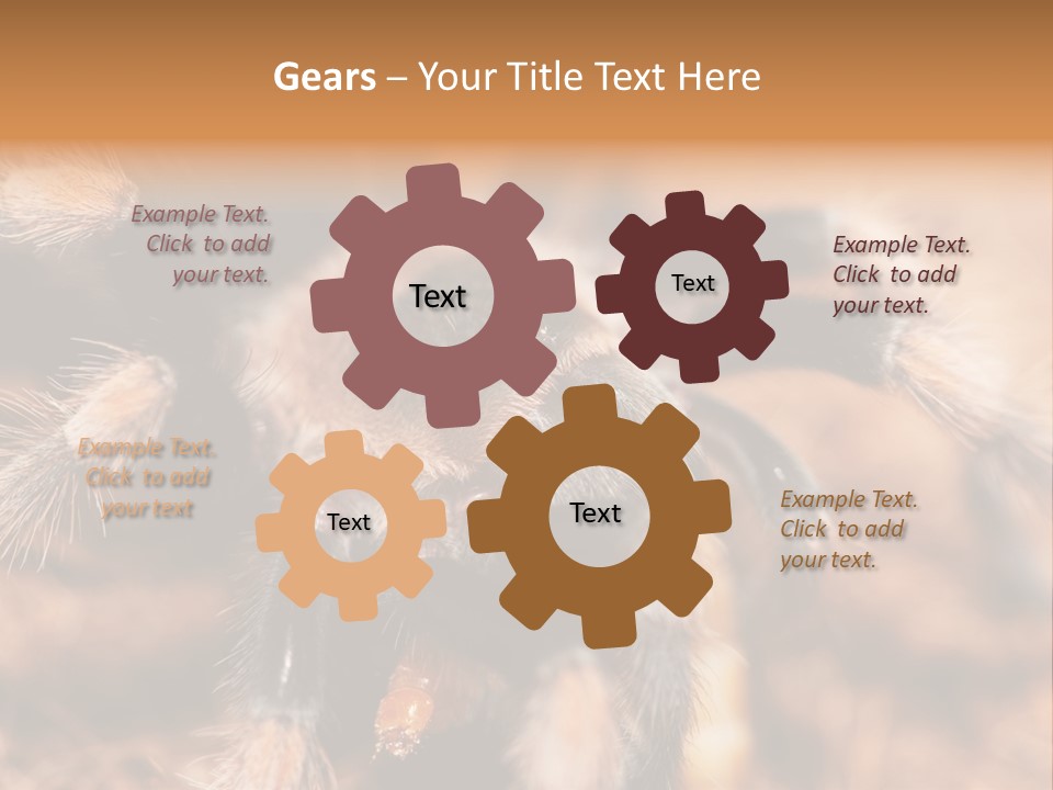 Hairy Predator Arachnida PowerPoint Template