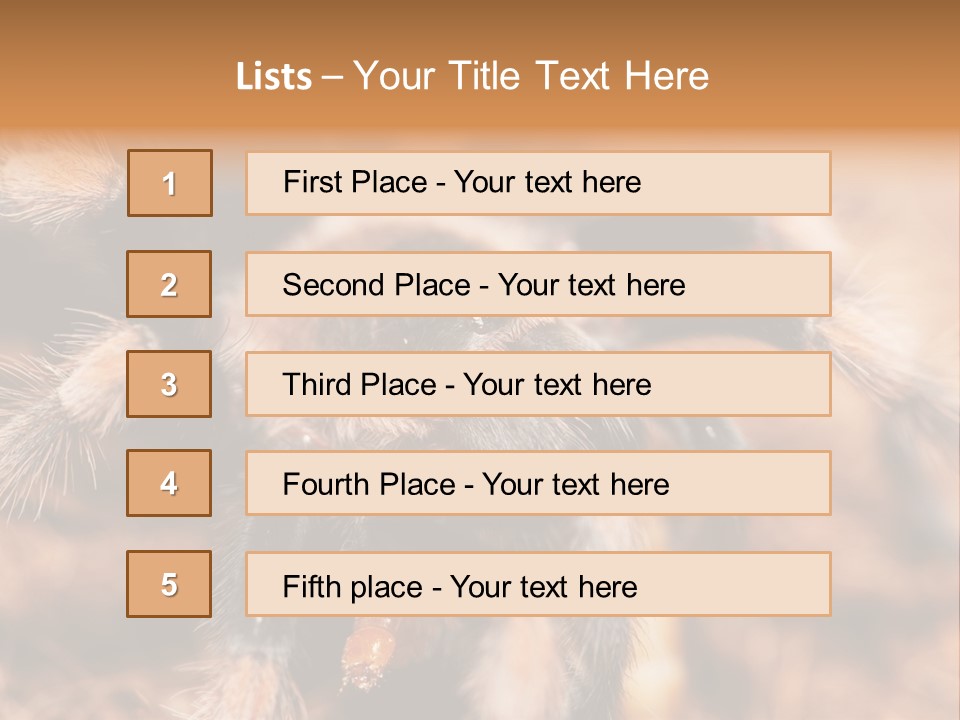 Hairy Predator Arachnida PowerPoint Template