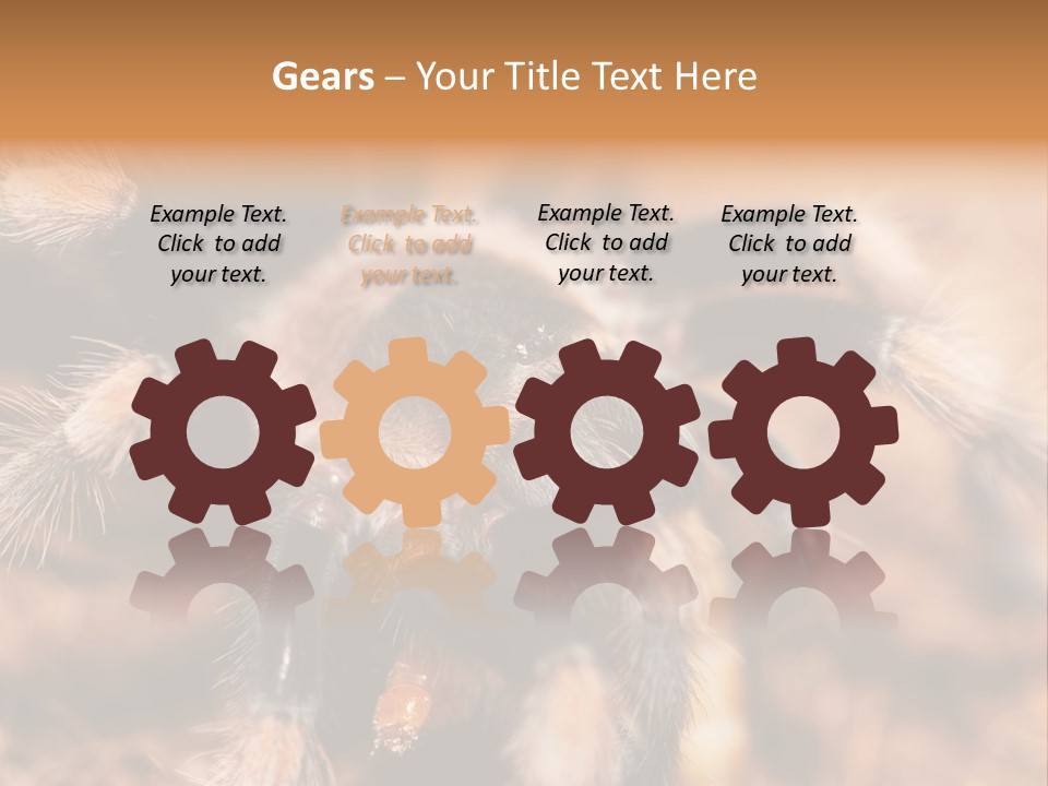 Hairy Predator Arachnida PowerPoint Template