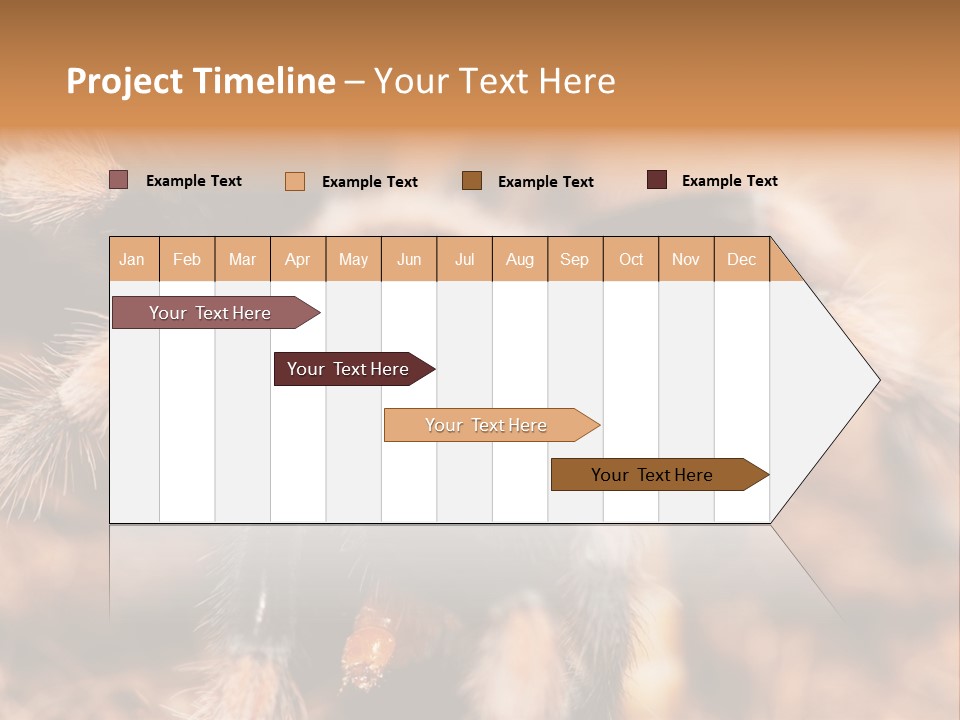 Hairy Predator Arachnida PowerPoint Template
