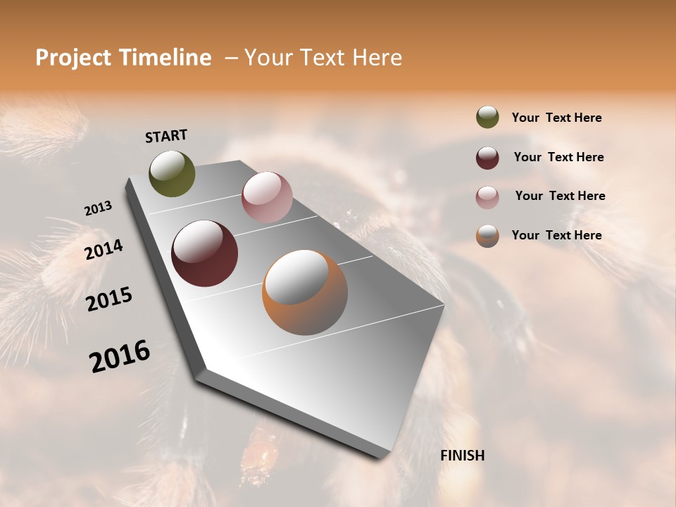 Hairy Predator Arachnida PowerPoint Template