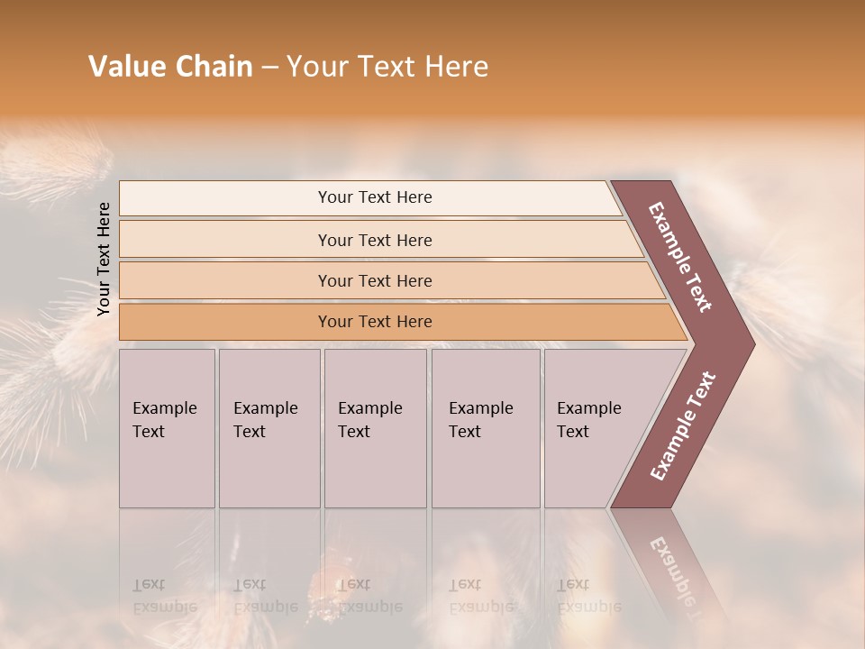 Hairy Predator Arachnida PowerPoint Template