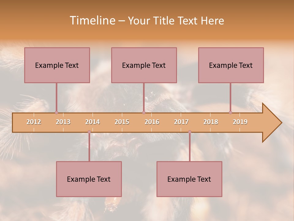 Hairy Predator Arachnida PowerPoint Template