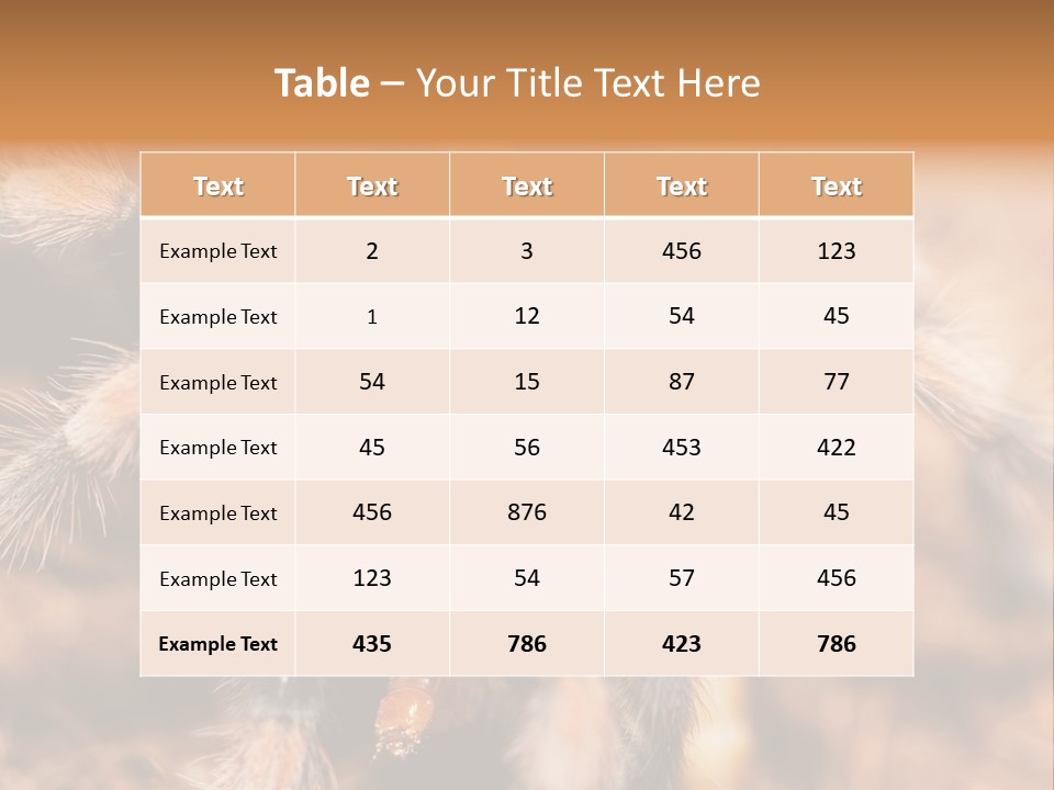 Hairy Predator Arachnida PowerPoint Template