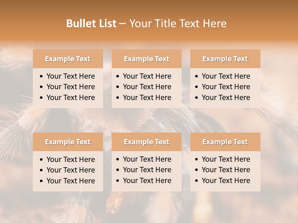 Hairy Predator Arachnida PowerPoint Template