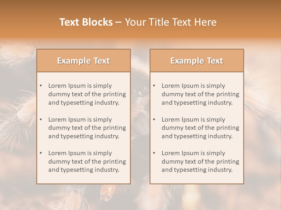 Hairy Predator Arachnida PowerPoint Template