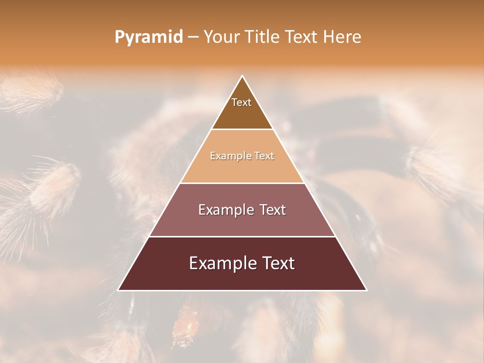 Hairy Predator Arachnida PowerPoint Template