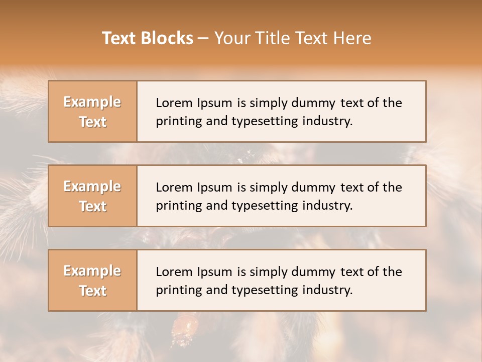Hairy Predator Arachnida PowerPoint Template