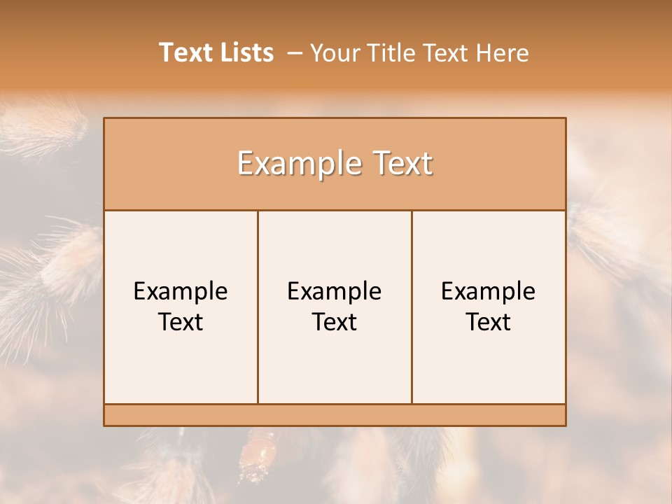 Hairy Predator Arachnida PowerPoint Template