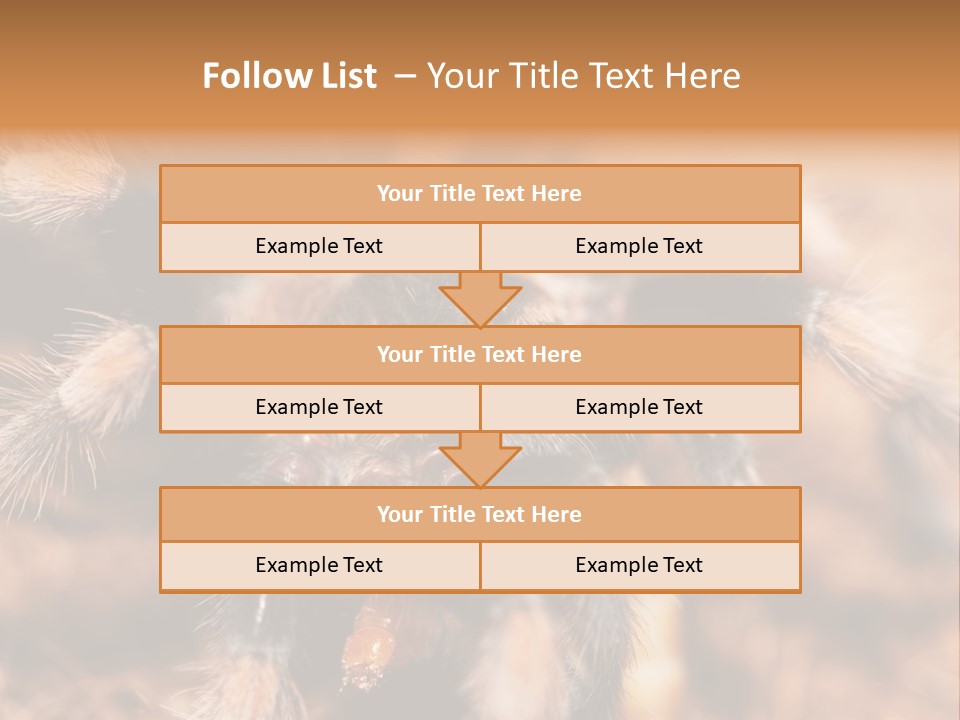 Hairy Predator Arachnida PowerPoint Template