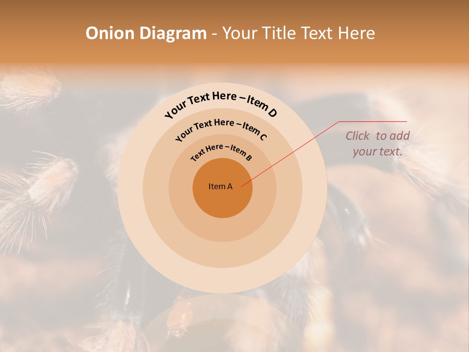 Hairy Predator Arachnida PowerPoint Template