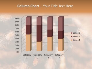 Hairy Predator Arachnida PowerPoint Template