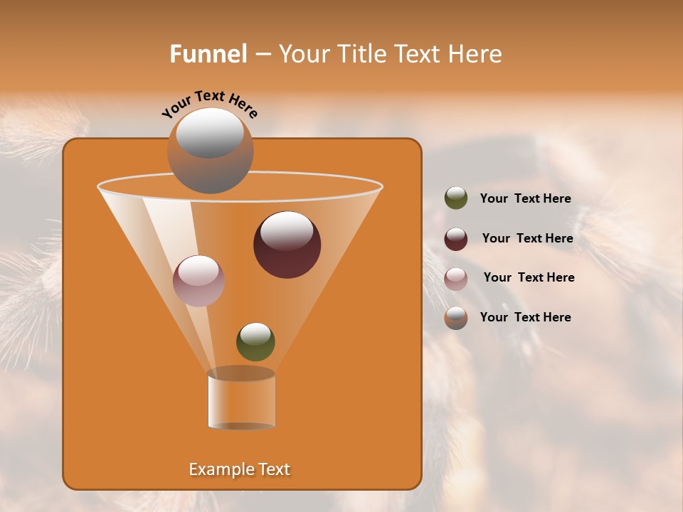 Hairy Predator Arachnida PowerPoint Template