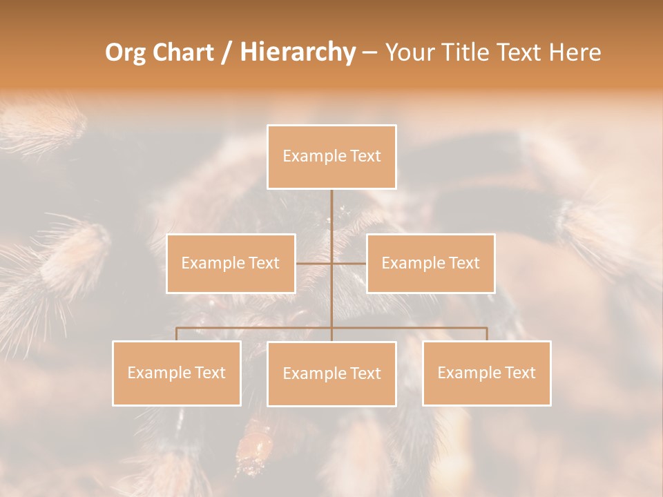 Hairy Predator Arachnida PowerPoint Template