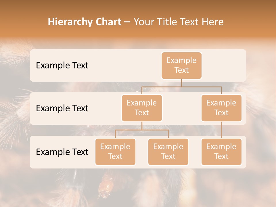 Hairy Predator Arachnida PowerPoint Template