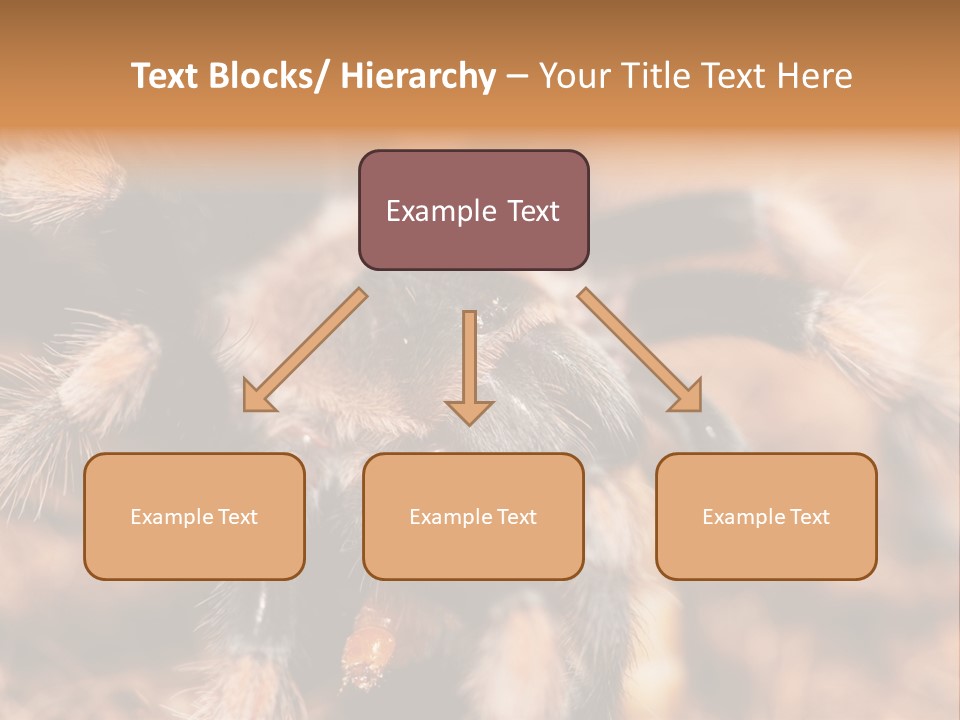 Hairy Predator Arachnida PowerPoint Template