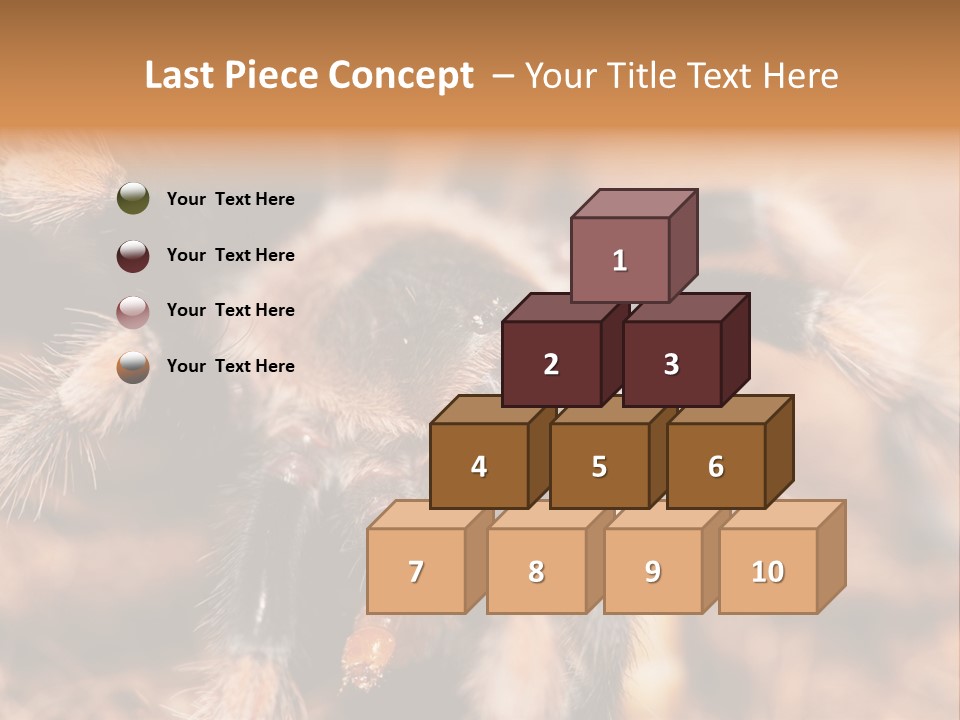 Hairy Predator Arachnida PowerPoint Template