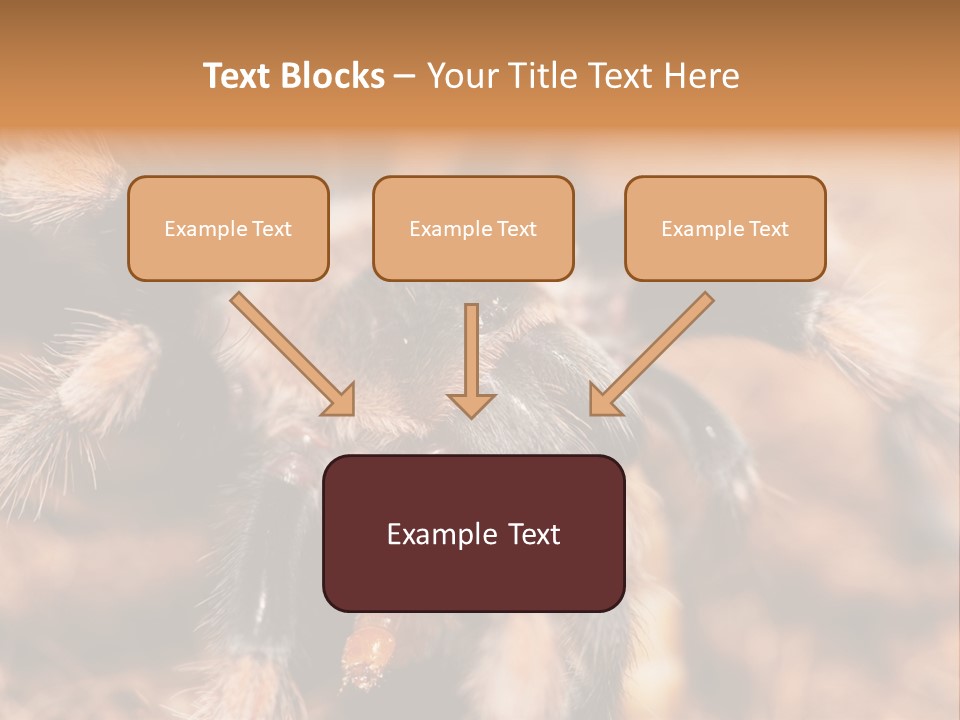 Hairy Predator Arachnida PowerPoint Template