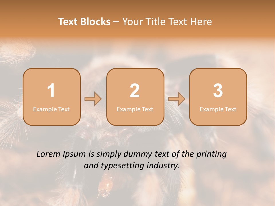 Hairy Predator Arachnida PowerPoint Template