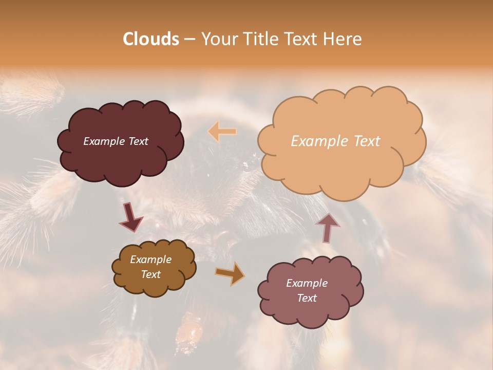 Hairy Predator Arachnida PowerPoint Template