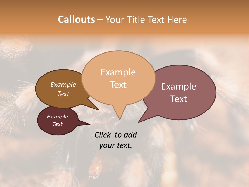 Hairy Predator Arachnida PowerPoint Template