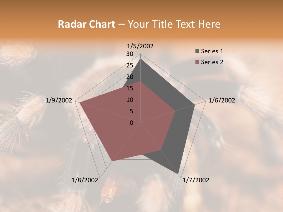 Hairy Predator Arachnida PowerPoint Template