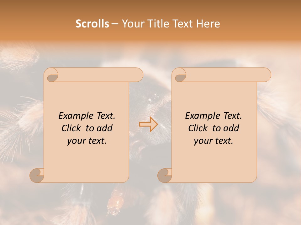 Hairy Predator Arachnida PowerPoint Template
