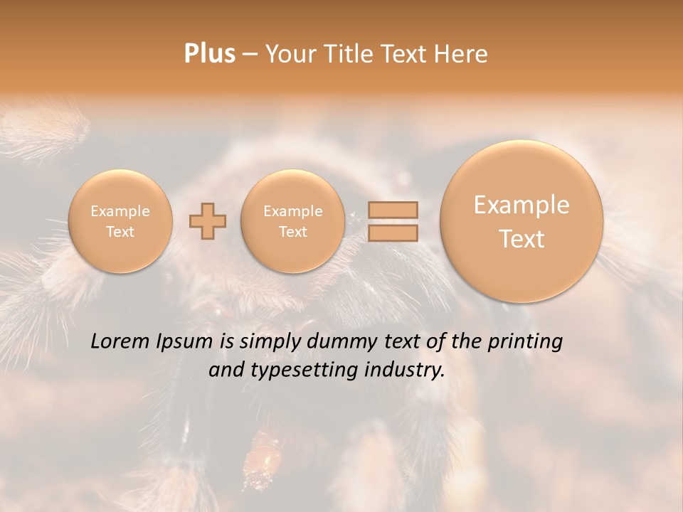 Hairy Predator Arachnida PowerPoint Template