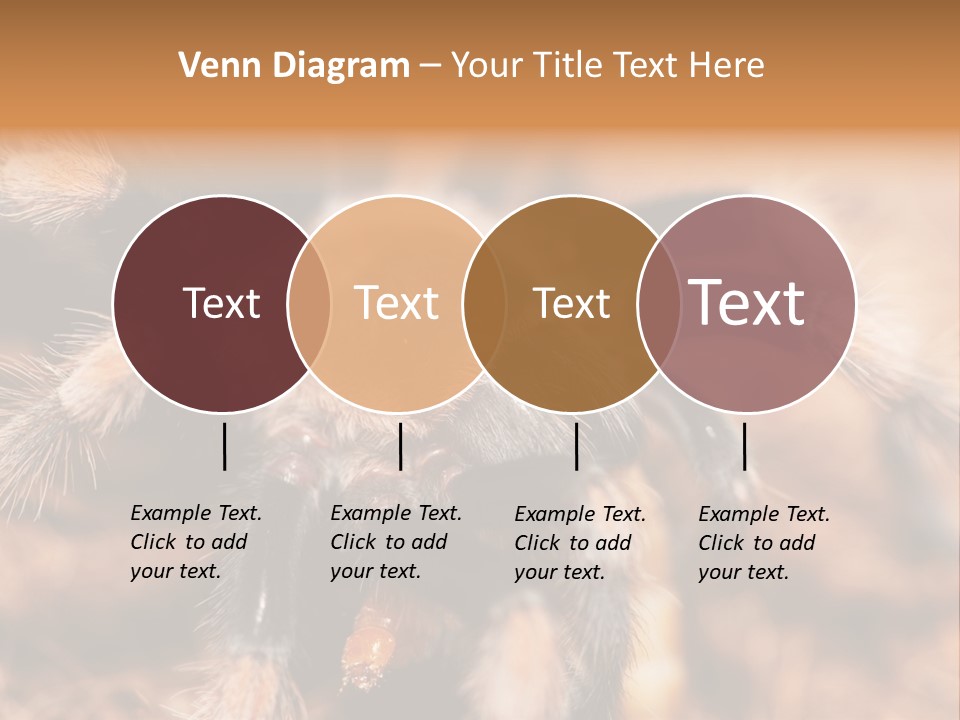 Hairy Predator Arachnida PowerPoint Template
