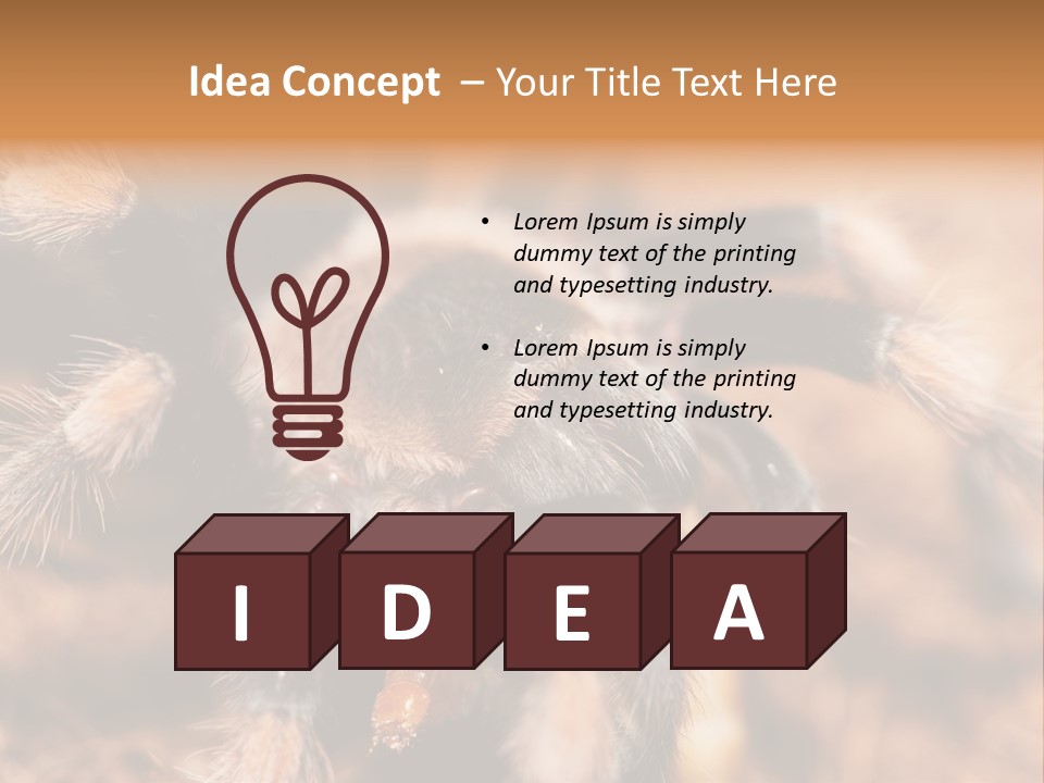 Hairy Predator Arachnida PowerPoint Template