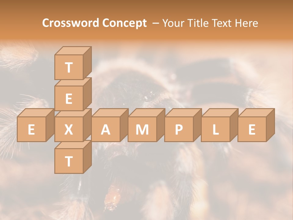 Hairy Predator Arachnida PowerPoint Template