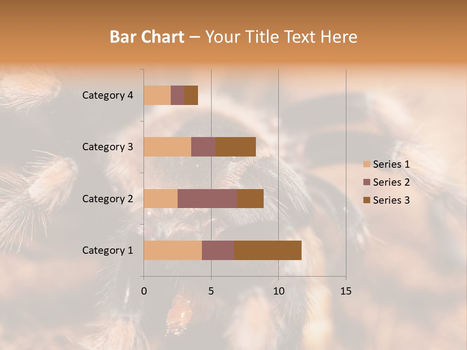Hairy Predator Arachnida PowerPoint Template