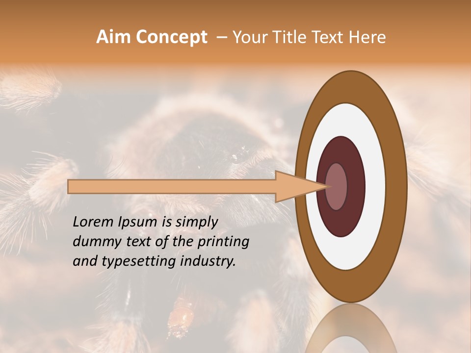 Hairy Predator Arachnida PowerPoint Template