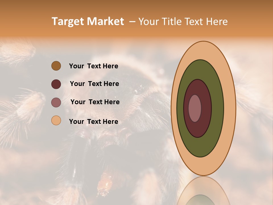 Hairy Predator Arachnida PowerPoint Template