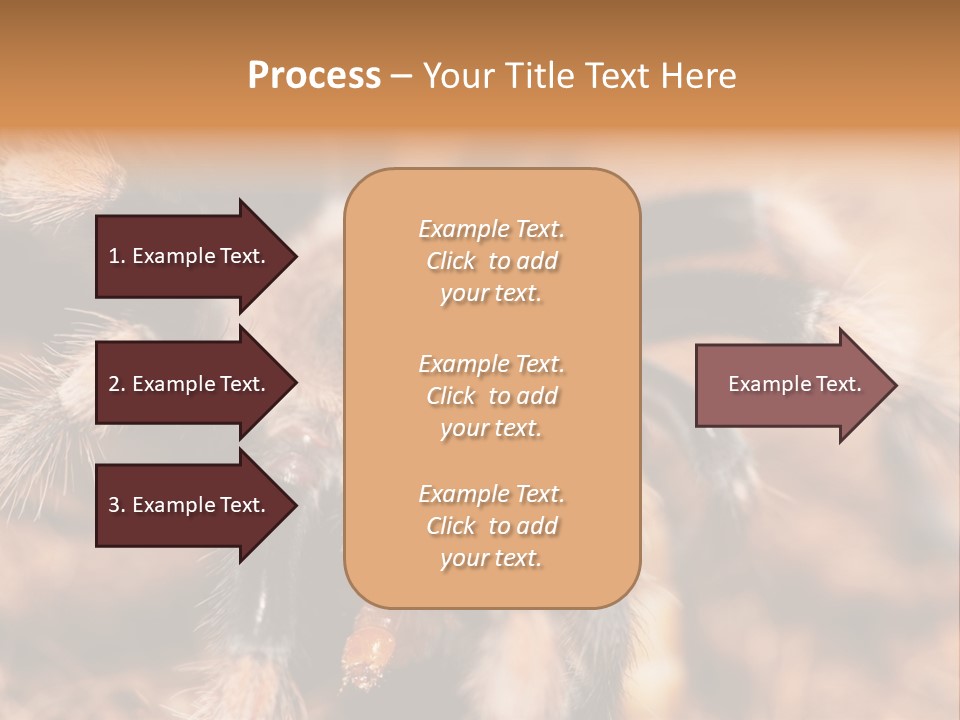 Hairy Predator Arachnida PowerPoint Template
