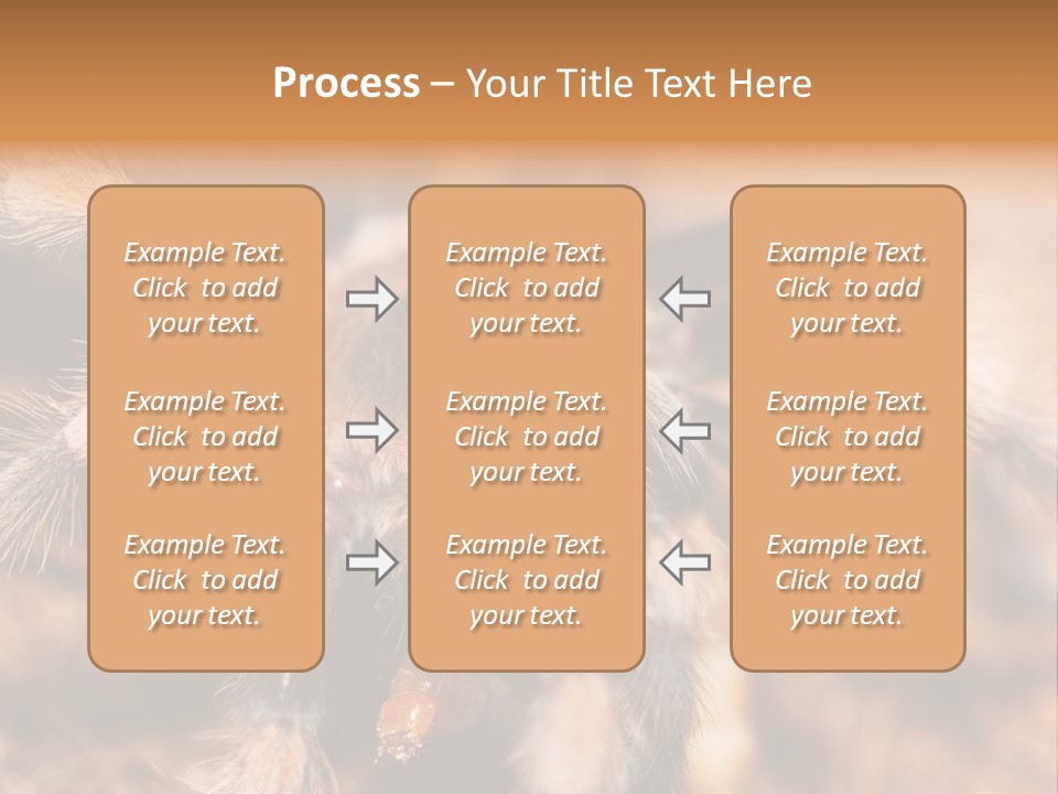 Hairy Predator Arachnida PowerPoint Template